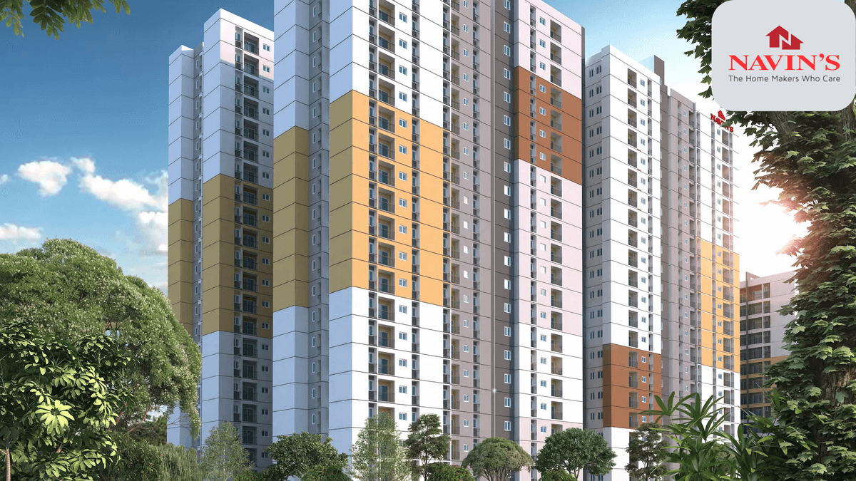 Navins CEDAR Navins CEDAR