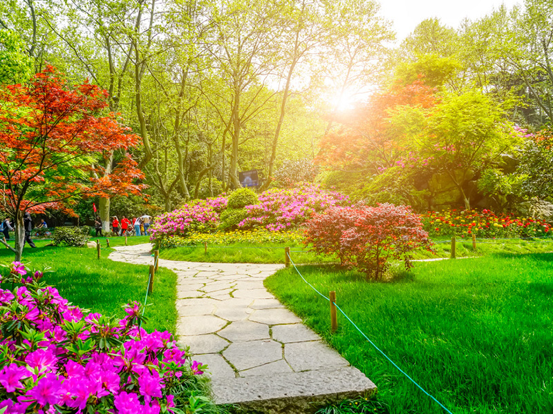 nu-tech-inscape Images - CitySide nu-tech-inscape Images - CitySide