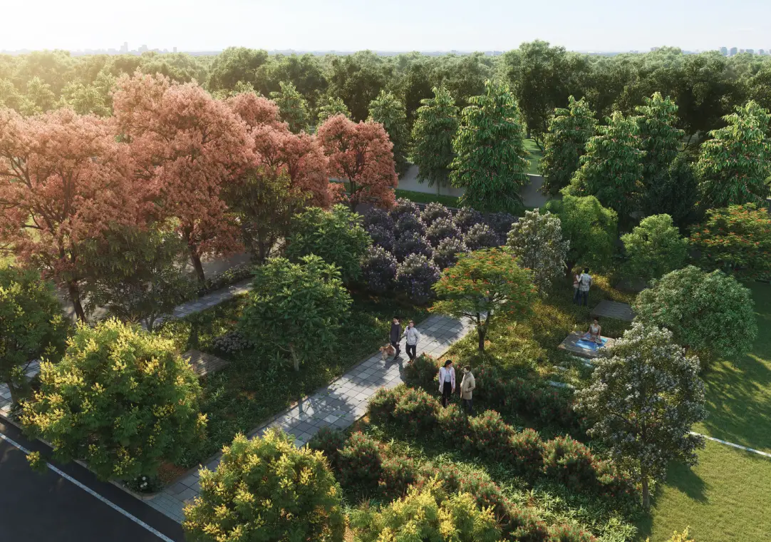 tvs-emerald-lake-shore Images - CitySide tvs-emerald-lake-shore Images - CitySide